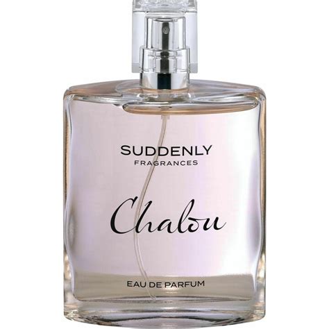 lidl parfum chanel|lidl chalou perfume dupes.